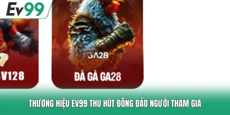 Đá Gà EV99 1 Thương hiệu EV99 thu hút đông đảo người tham gia